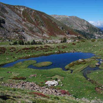 Hébergement Canigou
