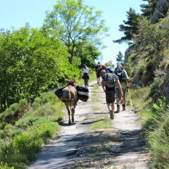 Refuge canigou pyrenees orientales france